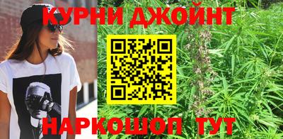 спайс Обь